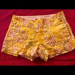 adorable city fit shorts